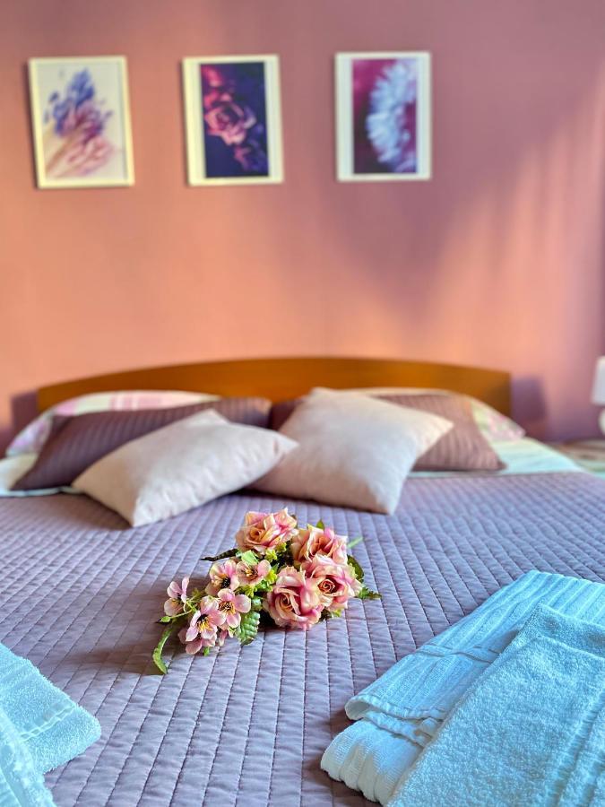 Dreams In Rome - Colosseum Apartment ภายนอก รูปภาพ